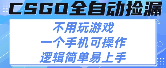 CSGO自动捡漏项目，最新独家玩法，不用挂G不用玩游戏，一个手机即可操作，新手小白轻松月入1W+【揭秘】-赚钱驿站
