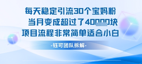 每天稳定引流30个人 当月变成超过了4个W项目流程非常简单适合小白-赚钱驿站