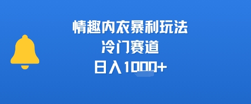 情趣内衣暴利玩法，冷门赛道，日入1k+-赚钱驿站
