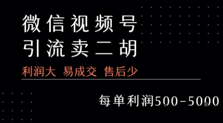 视频号卖二胡教程，利润大 易成交 售后少，一单利润5张+-赚钱驿站