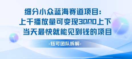 小众蓝海赛道项目：当天变现1k+适合新手操作 +适合长期玩-赚钱驿站