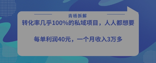 转化率最高的私域项目，每单利润40-50米，月入过1w-赚钱驿站