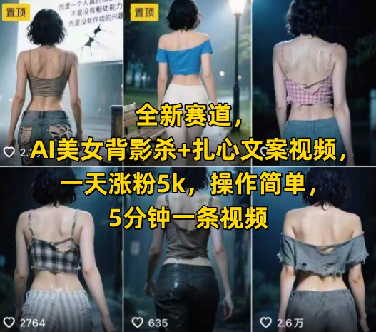 全新赛道，AI美女背影杀+扎心文案视频，一天涨粉5k，操作简单，5分钟一条视频-赚钱驿站