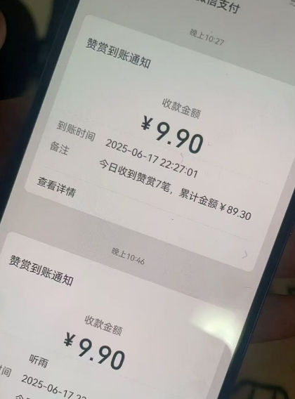 二次元男粉快速变现项目，私域卖虚拟产品，百分利润-赚钱驿站