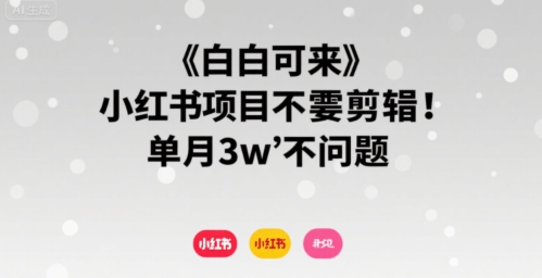 小白可来 小红书项目不需要剪辑 单月3w不是问题-赚钱驿站