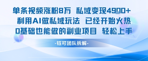 单条视频私域变现4.9k+利用AI做私域玩法 已经开始火热0基础也能做的副业项目轻松上手-赚钱驿站