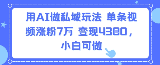 用AI做私域玩法，单条视频涨粉7W变现4.3k，小白可做-赚钱驿站