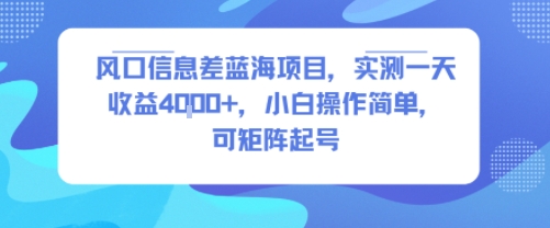 风口信息差蓝海项目，实测一天收益4k+，小白操作简单，可矩阵起号-赚钱驿站
