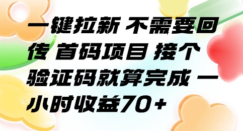 一键拉新 不需要回传 首码项目 接个验证码就算完成 一小时收益70+【揭秘】-赚钱驿站