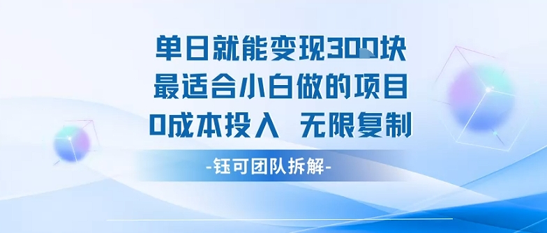 单日就能变现3张最适合小白做的项目0成本投入 无限复制-赚钱驿站