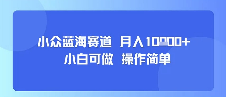 小众蓝海赛道，小白可做，操作简单，每天30分钟，月入1W+-赚钱驿站