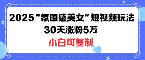 不露脸也能火！2025“氛围感美女”短视频玩法，30天涨粉5W小白可复制-赚钱驿站