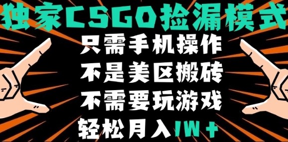 CSGO自动捡漏项目，最新独家玩法，不是美区搬砖，不需要了解和玩游戏，新手小白轻松月入1W+【揭秘】-赚钱驿站
