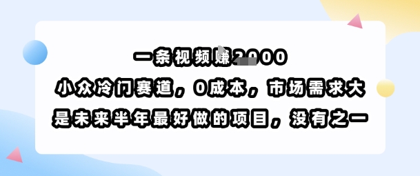 一条视频挣1k，小众冷门赛道，0成本，市场需求大，是未来半年最好做的项目，没有之一-赚钱驿站