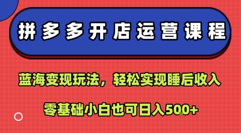 拼多多开店运营课程：蓝海变现玩法，轻松实现睡后收入，零基础小白也可日入5张-赚钱驿站