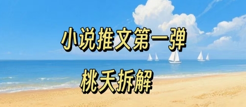 小说推文项目操作全流程第一弹，0粉就能做，门槛低非常适合新手-赚钱驿站