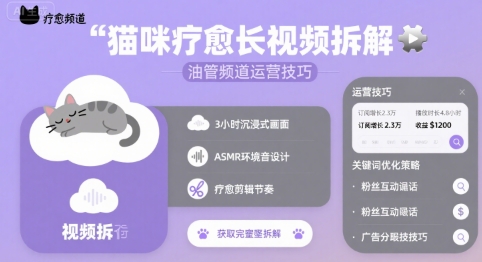 猫咪疗愈长视频拆解 &油管频道运营技巧-赚钱驿站