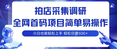 拍店采集调研，全网首码项目，简单易操作， 小白也能轻松上手，多账号操作，轻松日入5张【揭秘】-赚钱驿站
