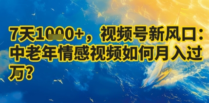7天收益1k+，视频号新风口：中老年情感视频如何月入过W?-赚钱驿站
