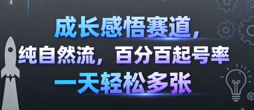 成长感悟赛道，纯自然流，百分百起号率 一天轻松多张-赚钱驿站
