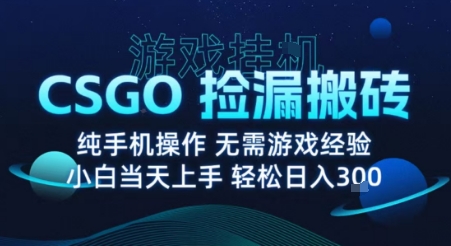 8月最新游戏搬砖，CSGO纯挂G，不需要玩游戏，实现真挂G，月入1W+【揭秘】-赚钱驿站