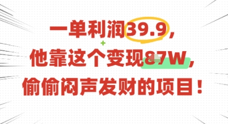 一单利润39.9，有人靠这个变现几十个，偷偷闷声发财的项目-赚钱驿站
