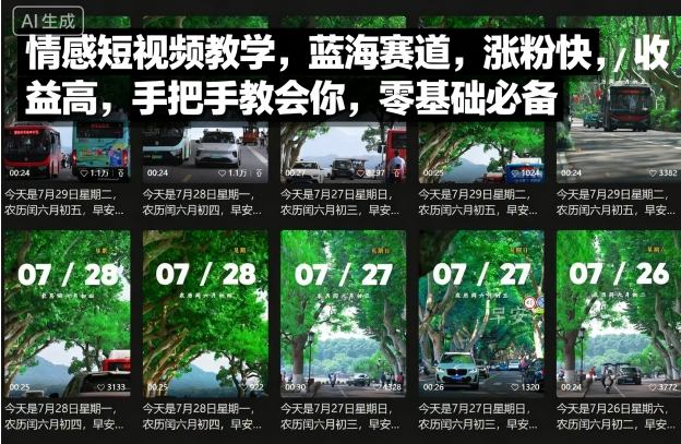 情感短视频教学，蓝海赛道，涨粉快，收益高，手把手教会你，零基础必备-赚钱驿站