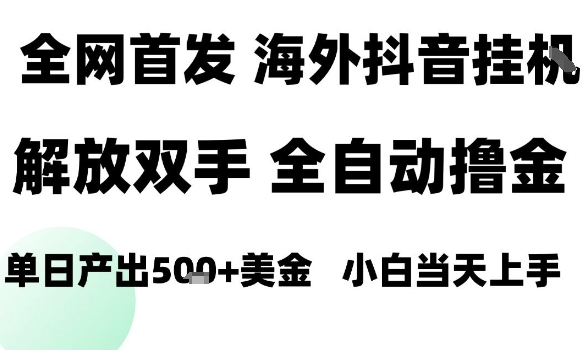 海外抖音无人直播，单日产出1.5k+，长期稳定，新手可玩，无脑操作【揭秘】-赚钱驿站