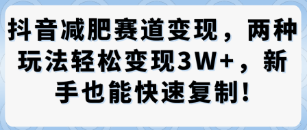 抖音减肥赛道变现，两种玩法轻松变现3W+，新手也能快速复制-赚钱驿站