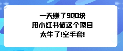 一天挣了9张用小红书做这个项目太牛了，空手套-赚钱驿站
