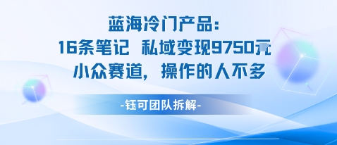 蓝海项目：16条笔记私域变现9750米小众赛道操作的人不多-赚钱驿站