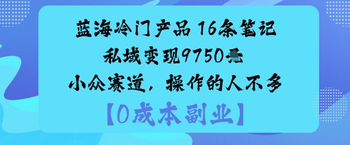 蓝海冷门产品：16条笔记私域变现9750米小众赛道，操作的人不多-赚钱驿站