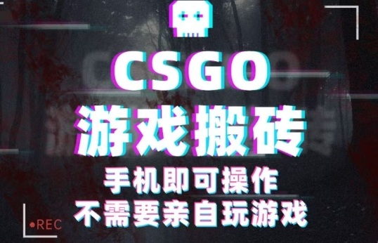 CSGO游戏挂G捡漏，单日扫货5张+，年底小高峰上车可吃肉，手机即可操作，兼职副业创业网创【揭秘】-赚钱驿站