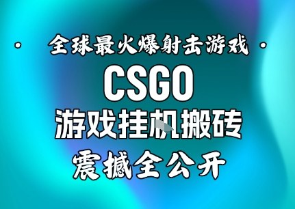 【年底大揭秘】基于全球最火爆的射击CSGO游戏挂G搬砖，日入5张+，震撼公开-赚钱驿站