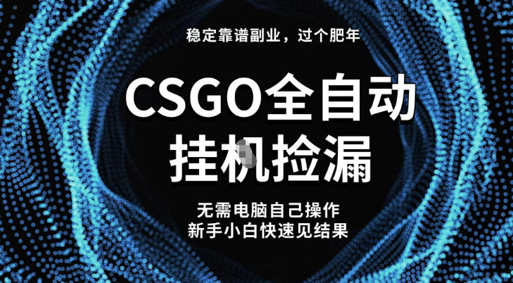 【稳定副业】全球最热门游戏CSGO全自动捡漏，最新玩法，新手小白日入5张+【揭秘】-赚钱驿站