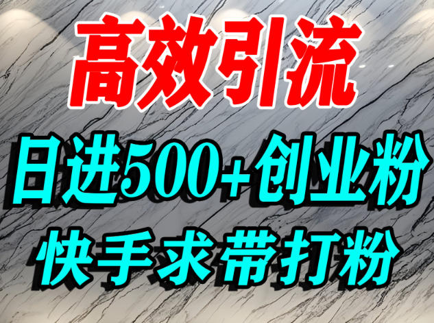 怎么打创业粉？快手求带视角精准引流创业粉，宝妈、学生群体日进500+精准流量-赚钱驿站