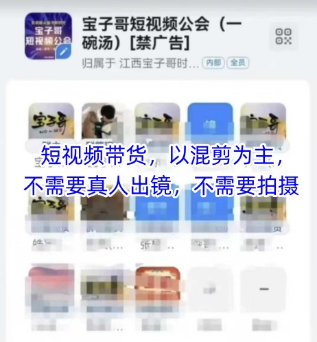 宝子哥头部团队短视频带货，以混剪为主，不需要真人出镜，不需要拍摄【更新11月】-赚钱驿站