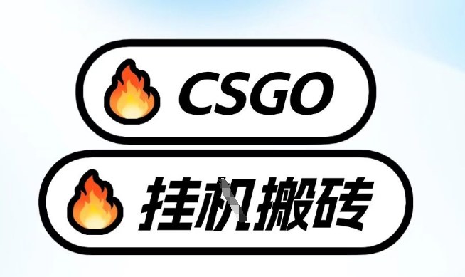 真全网独家CSGO挂G，最新玩法,单日捡漏1K+，不用电脑，不用打游戏【揭秘】-赚钱驿站