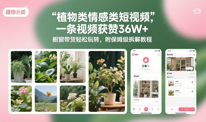 植物类情感类短视频，一条视频获赞36W+，橱窗带货轻松玩转，附保姆级拆解教程-赚钱驿站