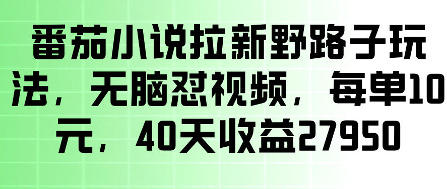 番茄小说拉新野路子玩法，无脑怼视频，玩法简单、见效快，每单10米，40天收益27950-赚钱驿站