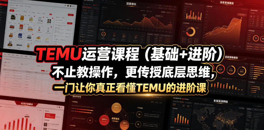 TEMU运营课程（基础+进阶），不止教操作，更传授底层思维，一门让你真正看懂TEMU的进阶课-赚钱驿站