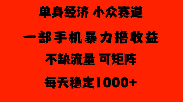 26年暴力单身经济，稳定日入500-1k，不缺流量，流量极大，冷门小众赛道，门槛低小白轻松上手【揭秘】-赚钱驿站
