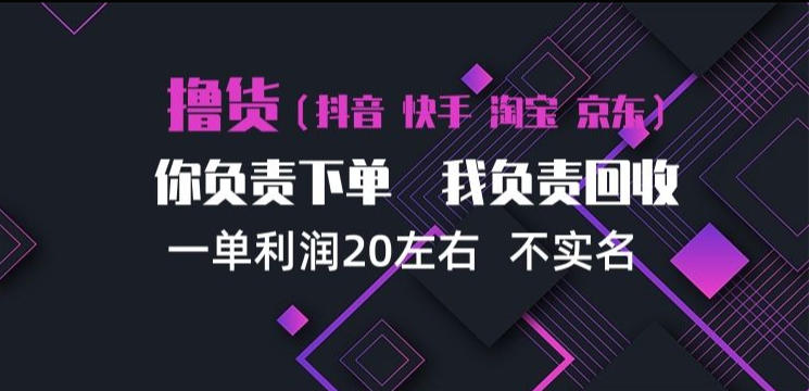 抖音淘宝快手买手项目，一单利润20左右，单号每天下三单，可矩阵【揭秘】-赚钱驿站