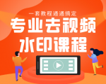 专业去视频水印教程 静态水印、动态水印、文字水印、图片水印一套教程通通搞定-赚钱驿站