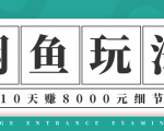 龟课·闲鱼项目玩法实战班第12期，操作10天左右利润有8000元细节玩法-赚钱驿站