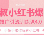 狼叔小红书爆款推广引流训练课4.0，手把手带你玩转小红书-赚钱驿站