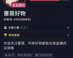 爆抖联盟蔷薇好物连怼100技术,一天连怼上百个视频,单场直播平均带货30万玩法-赚钱驿站