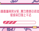 抖音直播间风火轮,暴力微信引流技术,低成本日加上千法-赚钱驿站