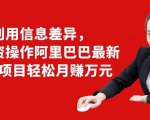 利用信息差异，零投资操作阿里巴巴最新管道项目轻松月赚10000+-赚钱驿站