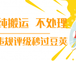 抖音纯搬运 不处理 小技巧,30秒发一个作品,避免违规评级秒过豆荚-赚钱驿站